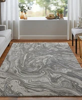 Feizy Prasad 3894F 5'x8' Area Rug