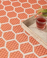 Nourison Home Twist Reversible TWS01 2'2"x12' Runner Area Rug