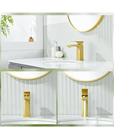 Flynama Single-Hole Single-handle Bathroom Faucet