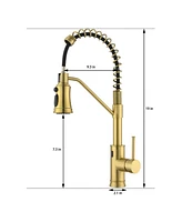 Flynama Pull out Touchless Single Handle Kitchen Faucet with MotionSense In Brushed Gold