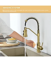 Flynama Pull out Touchless Single Handle Kitchen Faucet with MotionSense In Brushed Gold