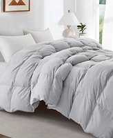Unikome Warm and Cozy 360 Thread Count All Season Down Feather Fiber Comforter