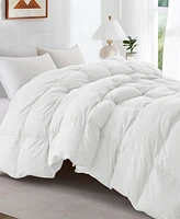 Unikome Warm and Cozy 360 Thread Count All Season Down and Feather Fiber Comforter