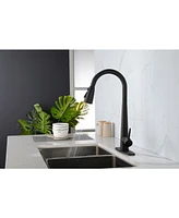 Streamdale Furniture Kitchen Faucets With Pull Down Sprayer, Kitchen Sink Faucet With Pull Out Sprayer