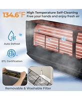 24000 Btu Wifi Enabled Mini Split Air Conditioner & Heater with Heat Pump