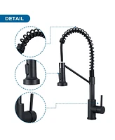 Flynama Single Hole Single-Handle Pull-Down Sprayer Kitchen Faucet In Matte Black