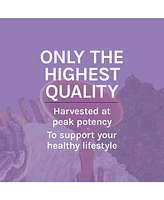 Host Defense Lion's Mane Extract - Brain Health Support Supplement