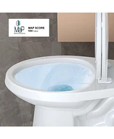 gaomon Two-Piece Elongated 1.28 Gpf Siphonic Flush Toilet with Soft Close Seat, Universal Height Ada Cotton (Toilet Seat Included)