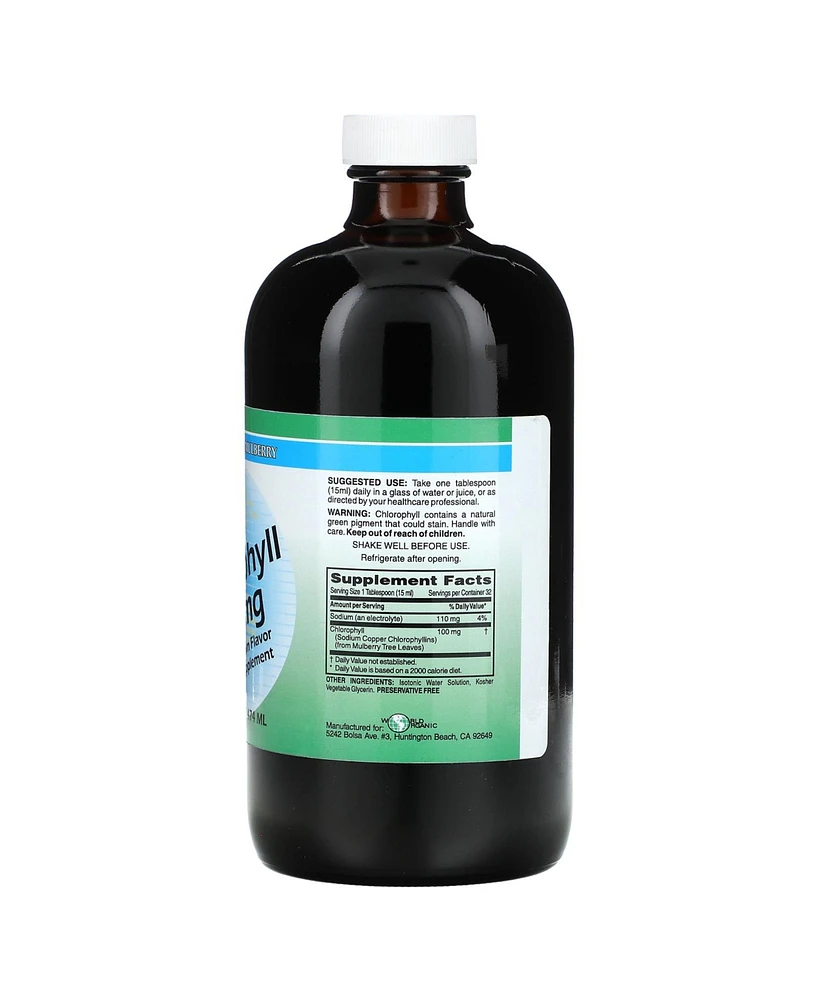 World Organic Liquid Chlorophyll 100 mg