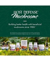 Host Defense The Mushroom Cultivator: A Practical Guide to Growing Mushrooms at Home by Paul Stamets and J.s. Chilton