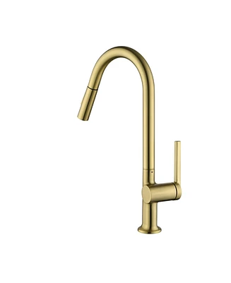 Mondawe Modern Single Handle Pull-Down Sprayer Kitchen Faucet in Brushed Gold