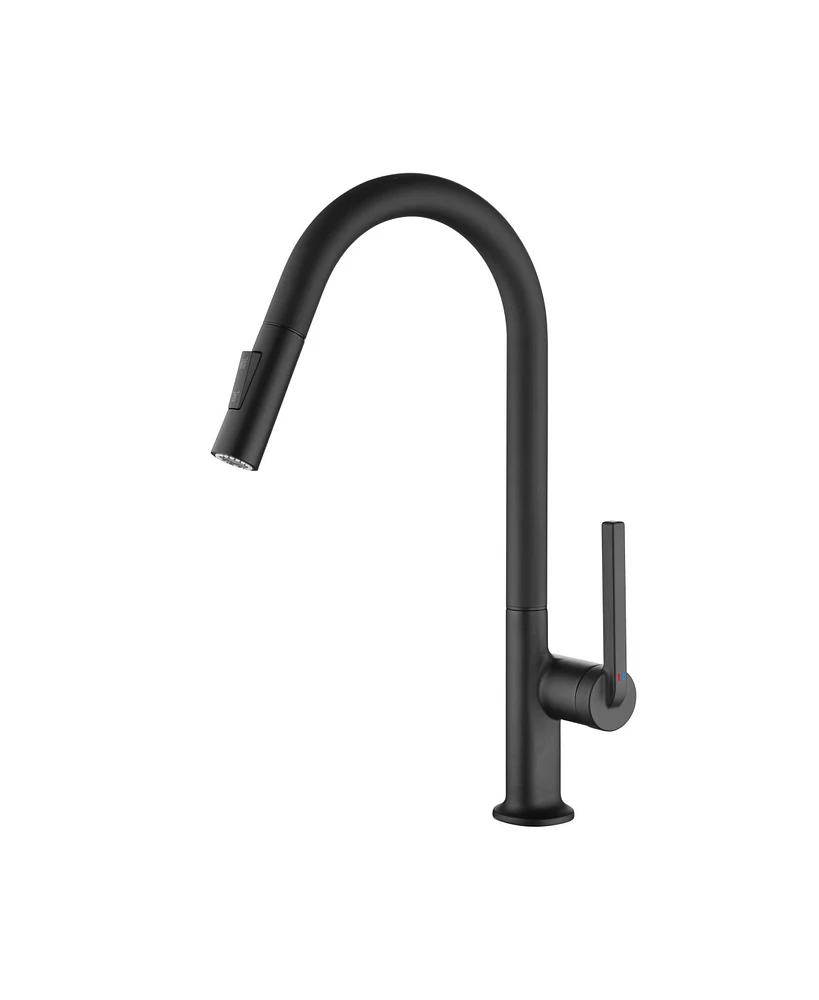 Mondawe Modern Single Handle Pull-Down Sprayer Kitchen Faucet in Matte Black