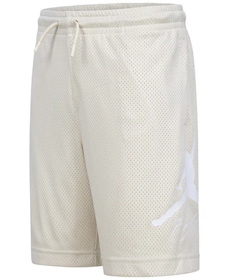 Jordan Big Boys Dri-fit Baseline Mesh Logo Shorts