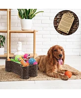 Casafield Dog Bone Shaped Storage Basket - Natural, Large Water Hyacinth Pet Toy Bin Organizer