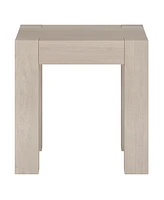 Hudson & Canal 22" Langston Wide Square Side Table