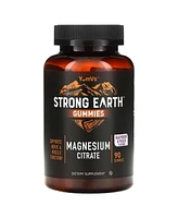 YumVs Strong Earth - Magnesium Citrate Gummies for Adults 250mg (90 Count) 3 Pk