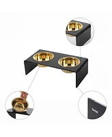 The Licker Store Keaton Small/Medium Modern Lucite Rectangular Elevated Pet Feeder with 20oz 2-Stainless Steel Bowls