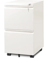 Devaise 2-Drawer Mobile File Cabinet with Lock, Commercial Vertical Cabinet, White