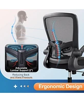 Galaxhero Heavy-Duty 300 lb Capacity Ergonomic Mesh Office Chair for Home & Gaming with Flip-Up Arms, Adjustable Lumbar Support and Tall Back