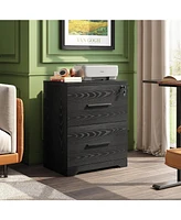 2-Drawer Wood Lateral File Cabinet with Lock for Office Home, Black