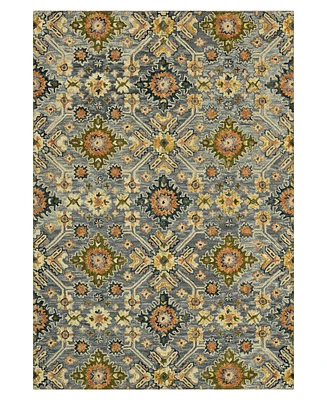 Amer Rugs Jackson JAC5 4'x6' Area Rug