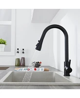 Flynama Single Handle Surface-Mounted Pull Out Sprayer Kitchen Faucet