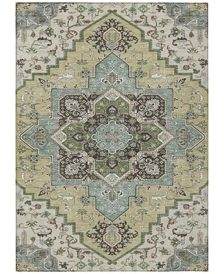 Addison Chantille Machine Washable ACN1036 8'x10' Area Rug