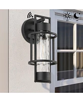 Flynama 1-Light Dusk to Dawn Outdoor Hardwired Wall Lantern Sconce with No Bulbs Included