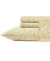 Laura Ashley 200-Thread Cotton 3 -Pc. Sheet Set, Twin Xl