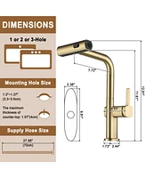 Mondawe 360° Swivel Single Handle Pull Out Sprayer Kitchen Faucet
