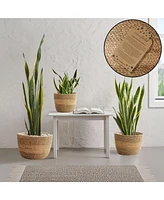 Casafield Set of 3 Seagrass Planter Baskets - Two-Tone, Hand Woven Indoor Flower Pot Covers with Liners for Plants, Succulents, Home Decor