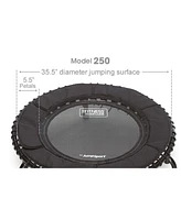 JumpSport 250 Fitness Rebounder Mini Trampoline In Home Cardio Fitness (2 Pack