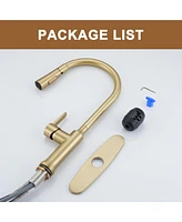 Casainc 1.8 Gpm Single-Handle Pull-Down Kitchen Faucet Single Hole