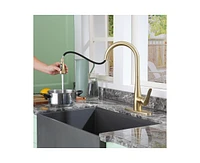 Casainc 1.8 Gpm Pull Down Kitchen Faucet with Deck Plate