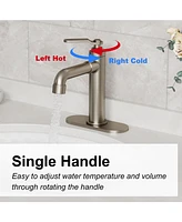 Casainc Single Hole Faucet Single-handle Bathroom Faucet with Drain Assembly