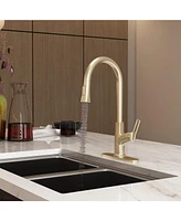 Casainc Single-Handle Pull-Down Kitchen Faucet Single Hole Faucet with Deck Plate