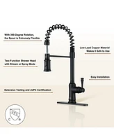 Casainc Single-Handle Spring Pull-Down Kitchen Faucet Single Hole Faucet 1.8 Gpm