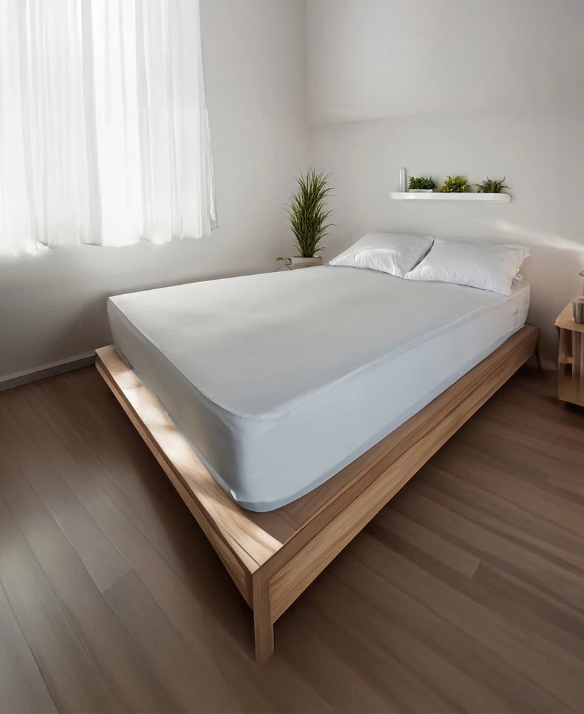 CleanBrands Pro Zippered Mattress Encasement, Queen