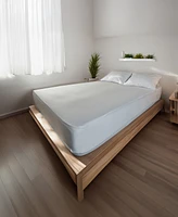 CleanBrands Pro Zippered Mattress Encasement, Queen