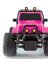 Sharper Image Remote Control All-Terrain Phantom Destroyer Toy Car, Set of 2