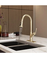 Casainc 1.8 Gpm Single-Handle Pull-Down Kitchen Faucet Single Hole