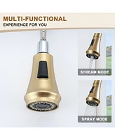 Casainc 1.8 Gpm Pull Down Kitchen Faucet with Deck Plate