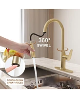 Casainc Single-Handle Pull-Down Kitchen Faucet Single Hole