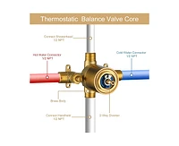 Casainc Classic Model 2-Function Shower System with Rough in-Valve