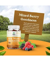 Nature's Craft Seamoss Gummies for Adults and Kids, Mixed Berry, Nature's Craft, 90ct