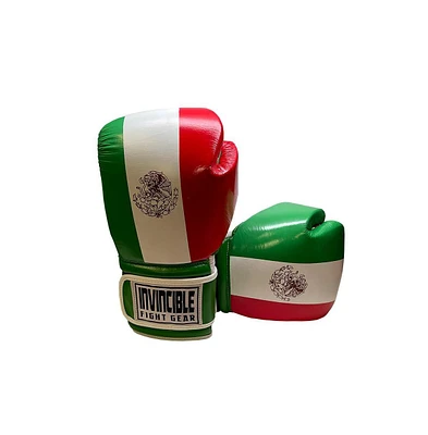 Amber Sports Invincible Fight Gear Standard Hook and Loop Leather Training Boxing Gloves with Mexican Flag Colors