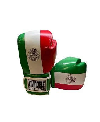 Amber Sports Invincible Fight Gear Standard Hook Loop Leather Training Boxing Gloves With Mexican Flag Colors Ideal For Boxing Kickboxing Muay Thai Mma For Men Women Kids 14oz