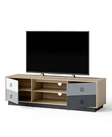 Gouun Modern 55 Inch Tv Stand with 2 Storage Cabinets for TVs up to 60 Inch
