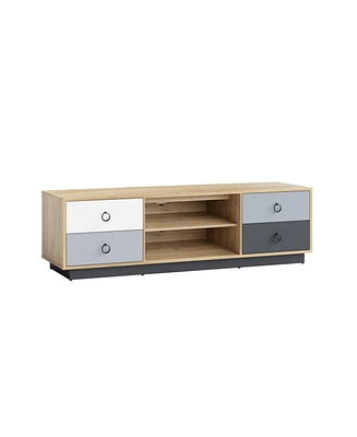 Gouun Modern 55 Inch Tv Stand with 2 Storage Cabinets for TVs up to 60 Inch