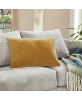 Ihi Home Stella Velvet Decorative Pillow ,14" x 20"